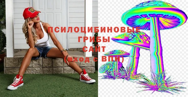 индика Арсеньев