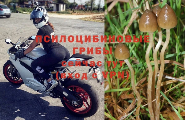 индика Арсеньев