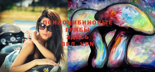 бошки Аркадак