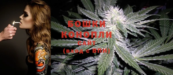 бошки Аркадак