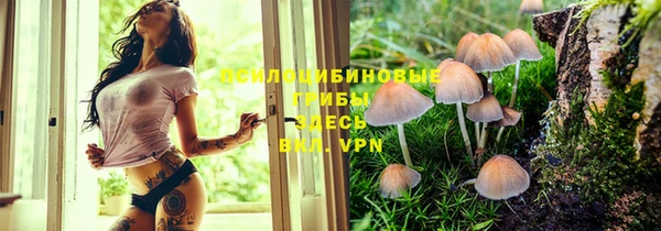 бошки Аркадак
