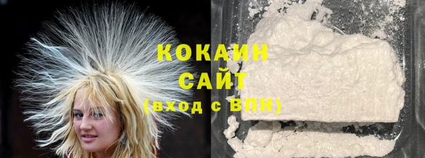 индика Арсеньев