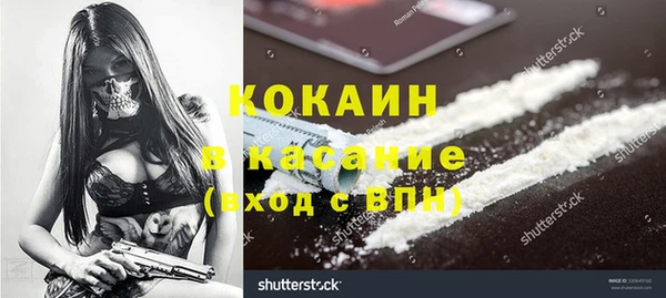 индика Арсеньев