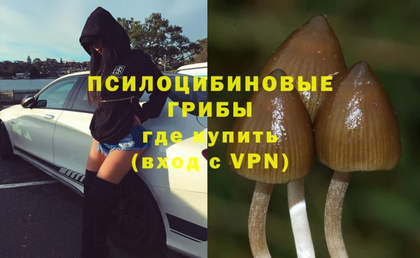 бошки Аркадак