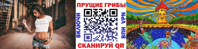 Псилоцибиновые грибы Psilocybe  Белово 