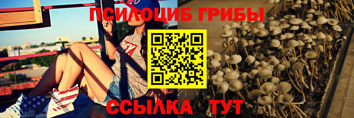 как найти наркотики  Псилоцибиновые грибы ЛСД  Галлюциногенные грибы MAGIC MUSHROOMS  Вход с VPN  Белово 
