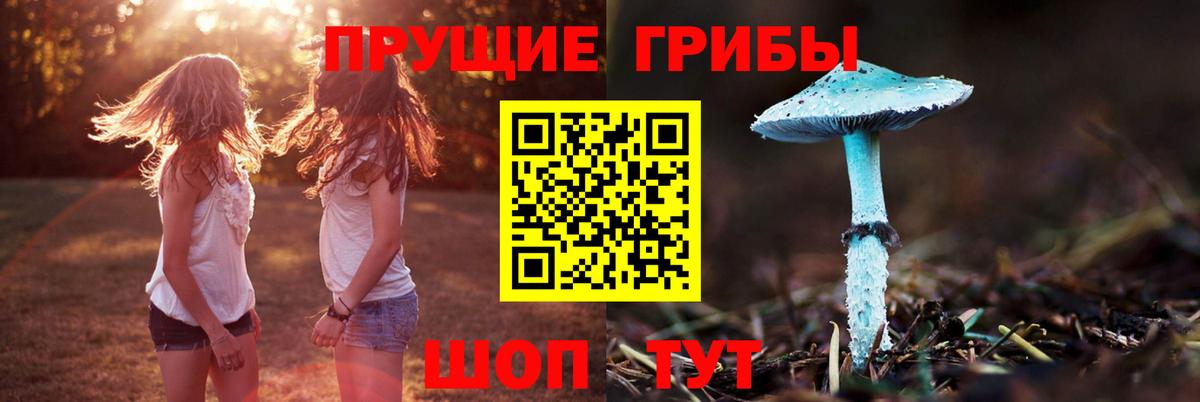 Галлюциногенные грибы ЛСД Белово